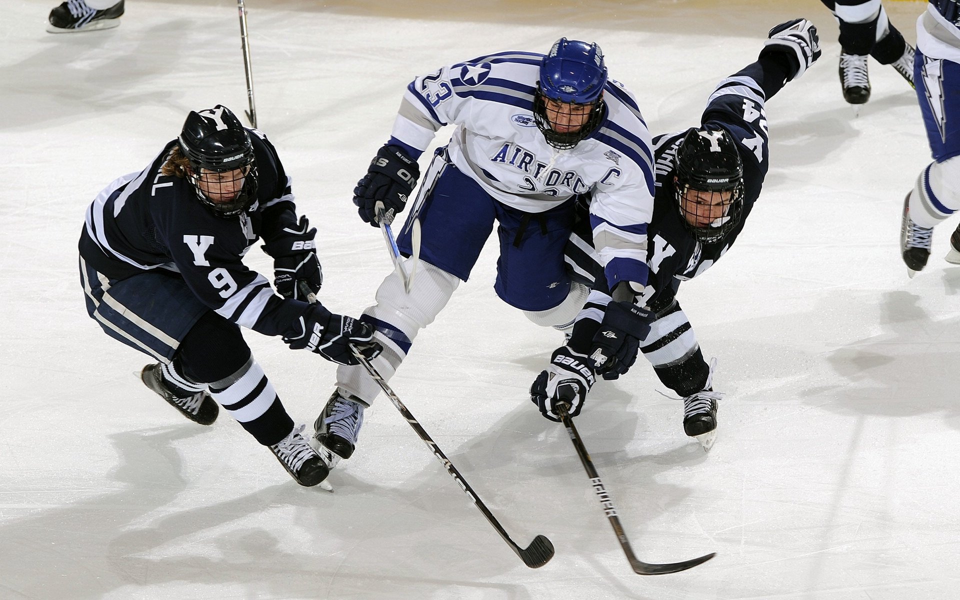 Chinese Taipei团队未来发展：创新与合作引领新篇章，taipei act